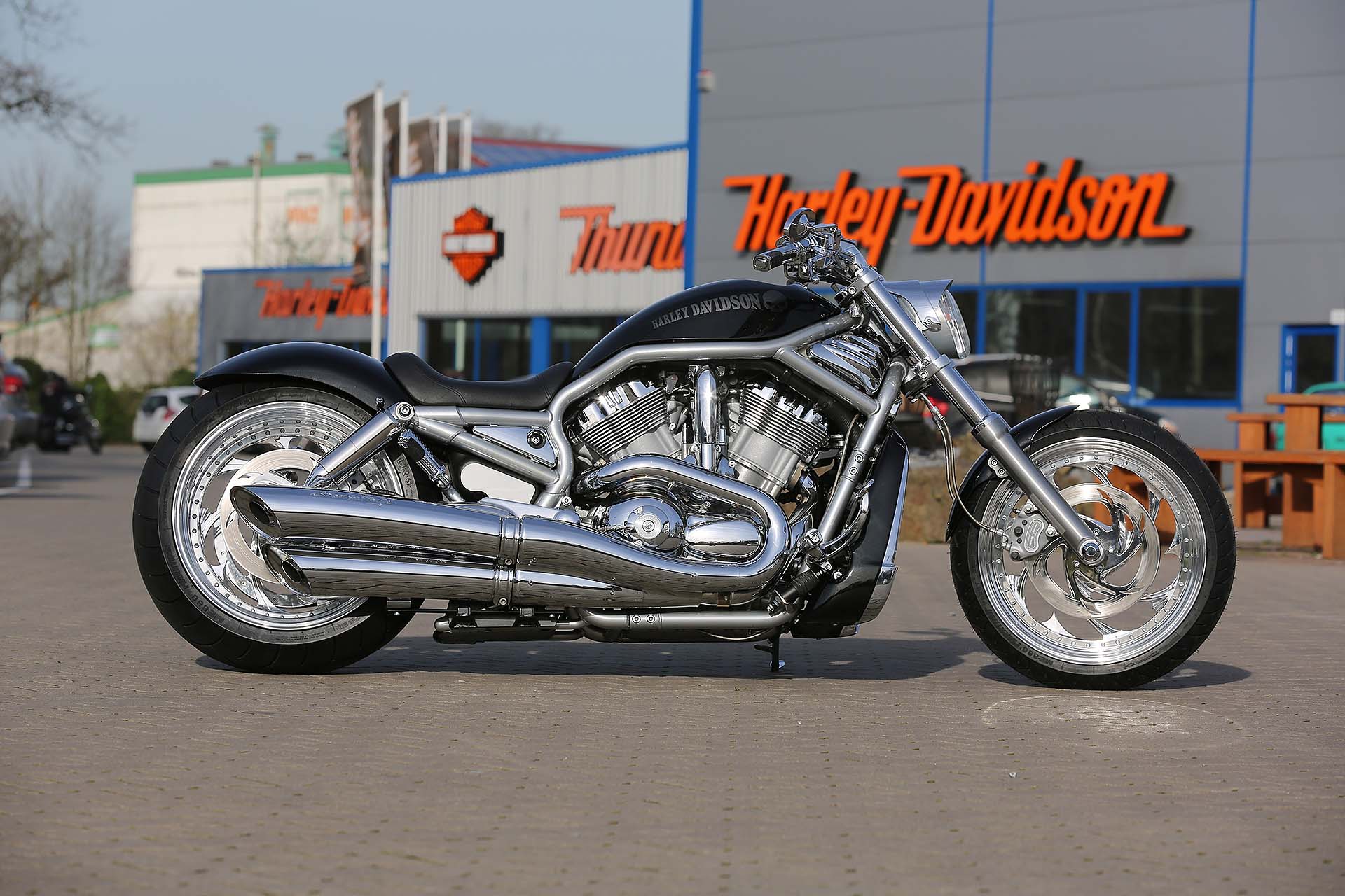 Thunderbike Muscle Custom • HarleyDavidson VRod Muscle VRSCF