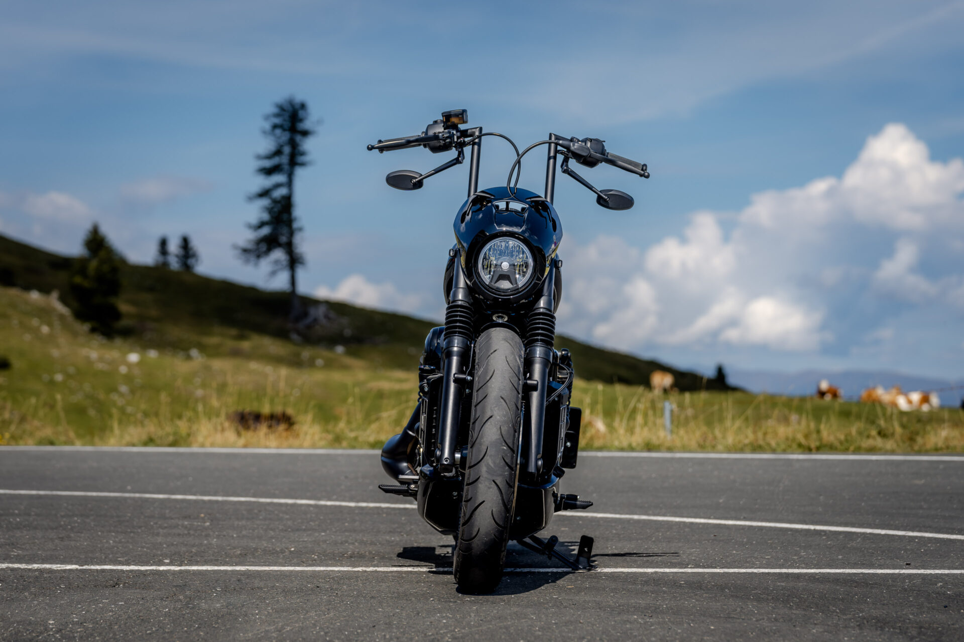 Thunderbike Night Flyer • Harley-Davidson Nightster RH975